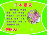 日本樱花