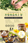 胎菊花茶