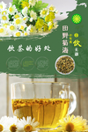 菊花茶