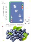蓝莓海报