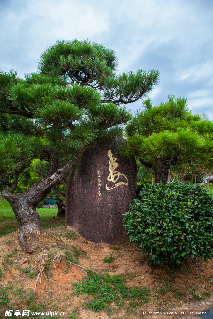 鲍家花园
