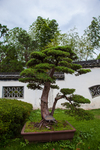 鲍家花园
