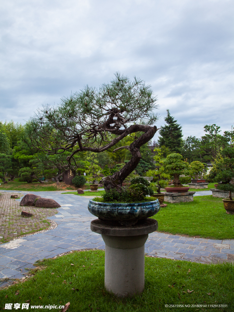 鲍家花园