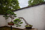 鲍家花园