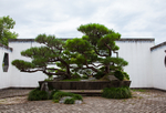 鲍家花园