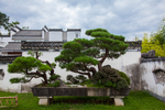 鲍家花园