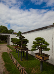 鲍家花园