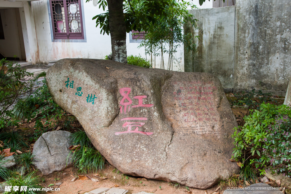 鲍家花园