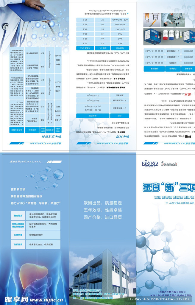 医疗蛋白三项三折页