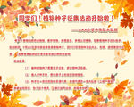 秋天种子收集