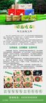 环保绿岛展架