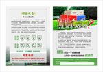 绿岛食品DM