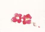 小红花