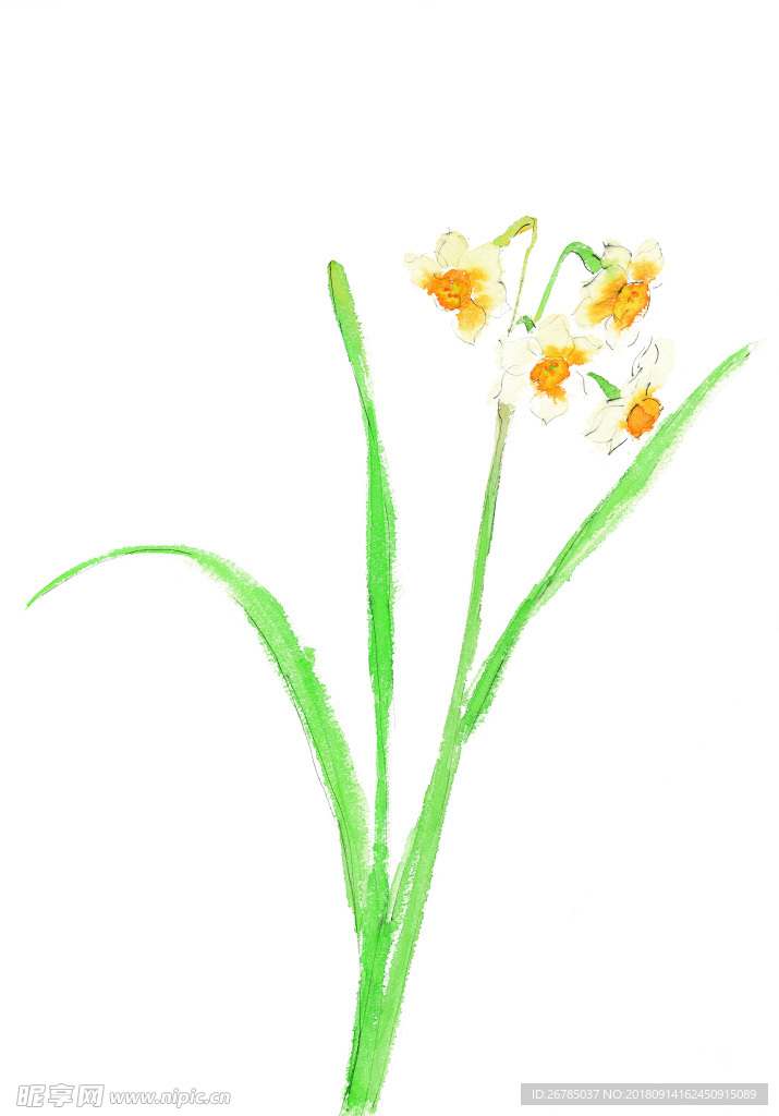 花卉