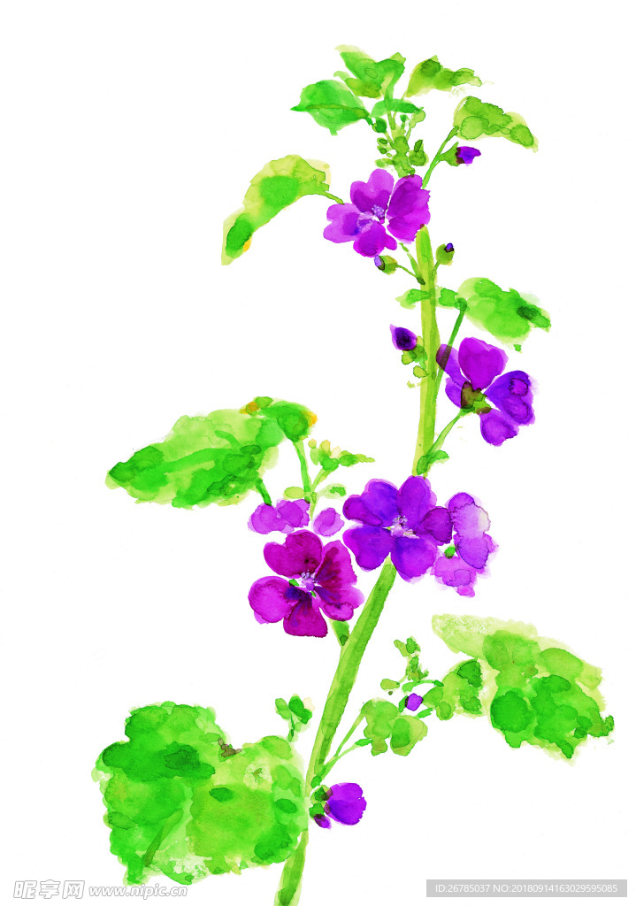 水彩花