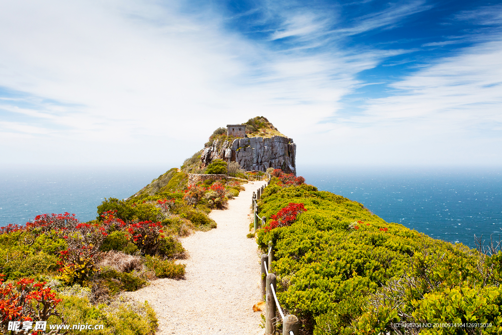 风景