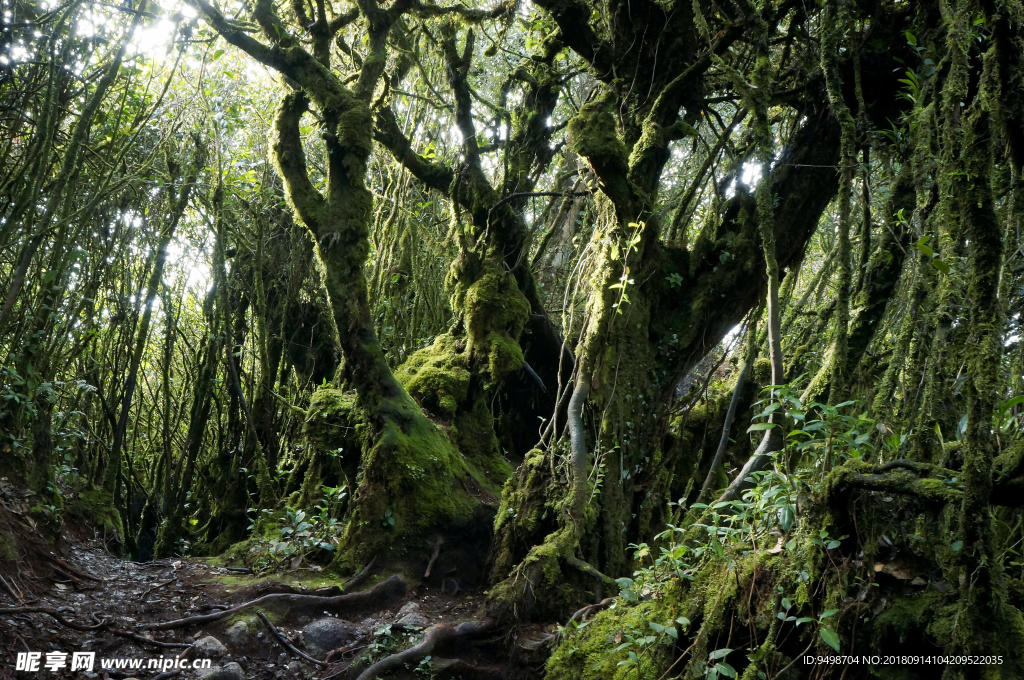 风景