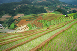 山村风景