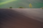 风景