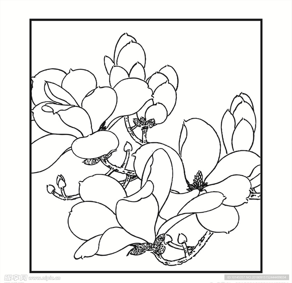 花卉