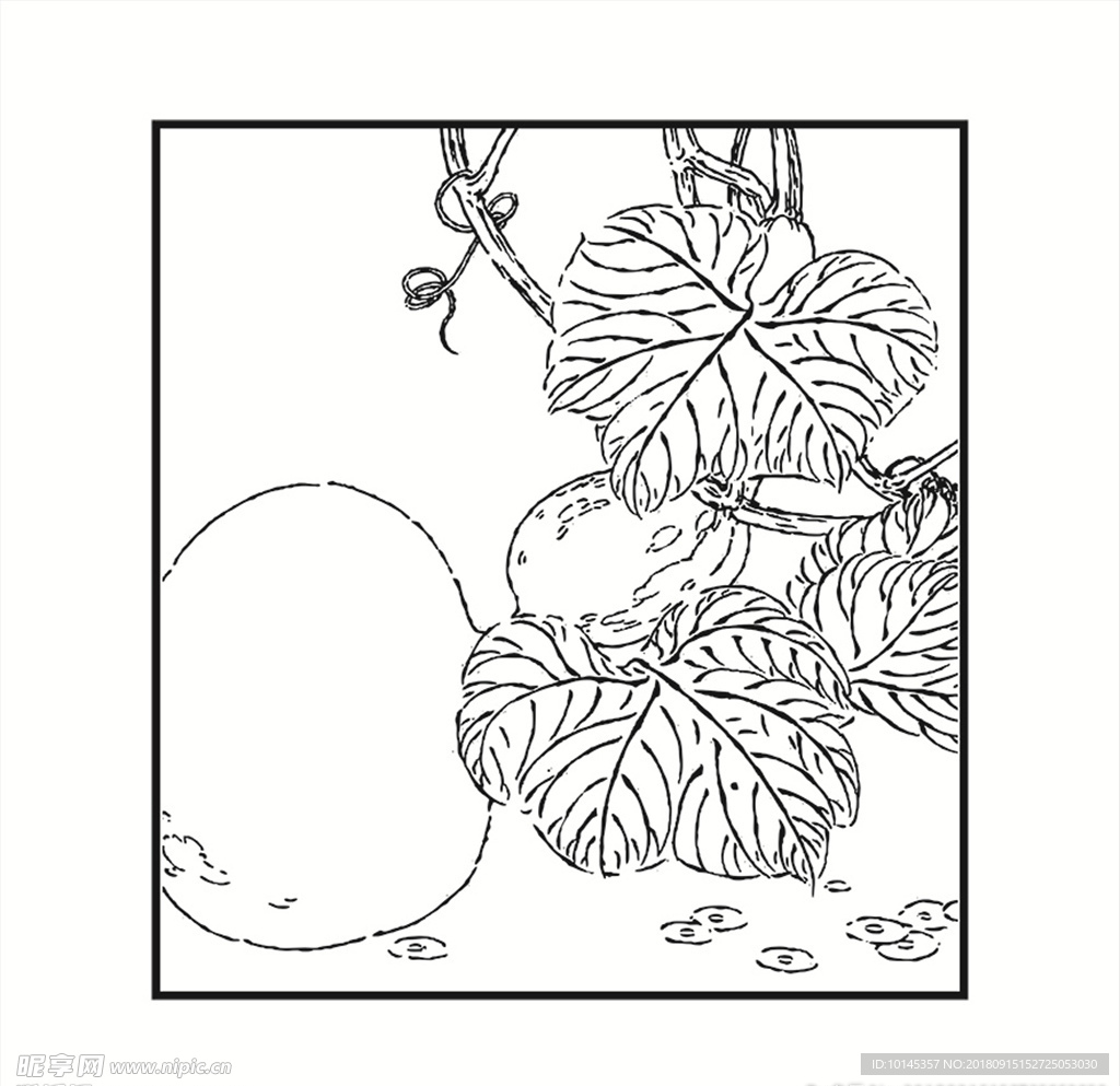 果实
