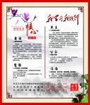 践行核心价值观