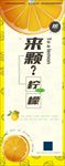 生鲜水果柠檬优惠展架