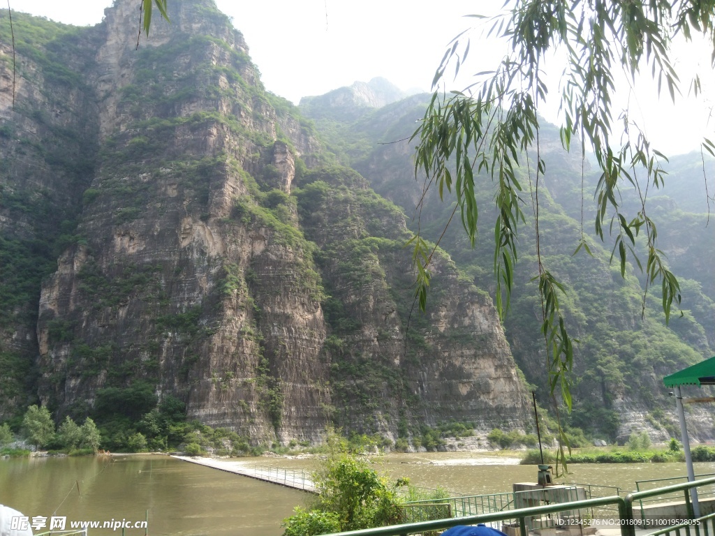 山石近景