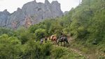 大侠出山