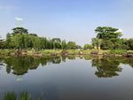 生物岛
