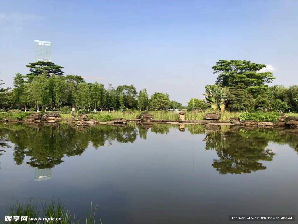 生物岛