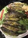 黄骨头鱼