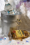 龙舌兰酒