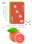西柚海报