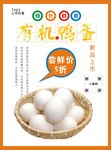 鸭蛋海报