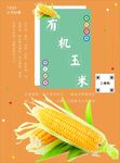 玉米海报