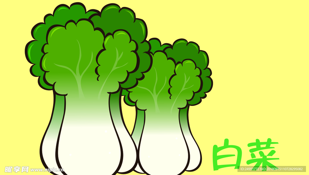 白菜