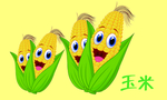 卡通玉米
