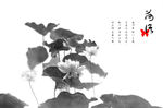 水墨荷花
