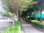 城市街道