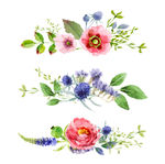 手绘水墨风鲜花插画