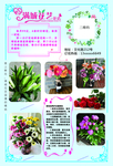 鲜花店卡片