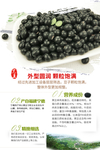 黑豆