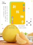 柚子海报