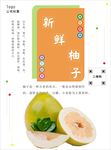 柚子海报