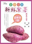 紫薯海报