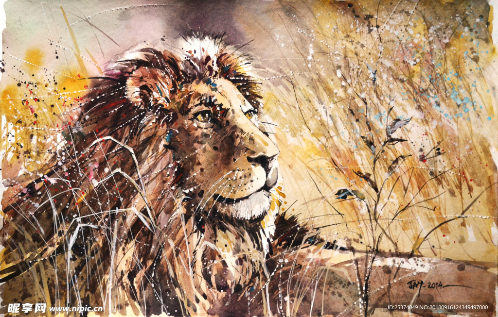 狮子 水彩 手绘 非洲 草原