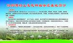 山葱花种植示范基地简介