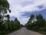 乡村公路景观