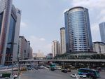 深圳 深圳湾 公园 南山区 市